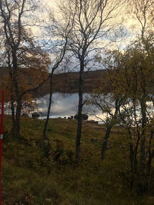 Trivelig Fritidshus Pa Arnes, Senja Straumstad Buitenkant foto