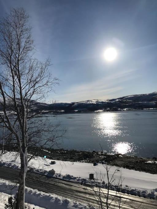 Trivelig Fritidshus Pa Arnes, Senja Straumstad Buitenkant foto