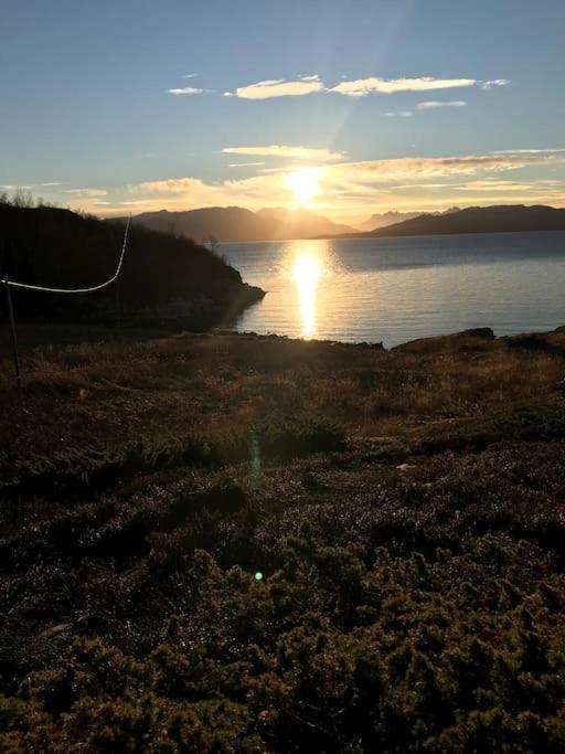 Trivelig Fritidshus Pa Arnes, Senja Straumstad Buitenkant foto