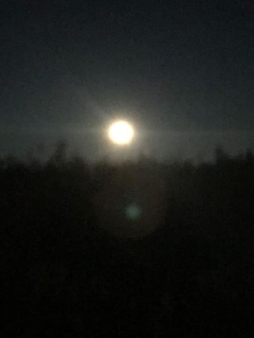 Trivelig Fritidshus Pa Arnes, Senja Straumstad Buitenkant foto