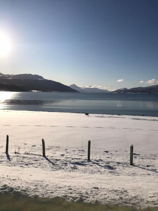 Trivelig Fritidshus Pa Arnes, Senja Straumstad Buitenkant foto