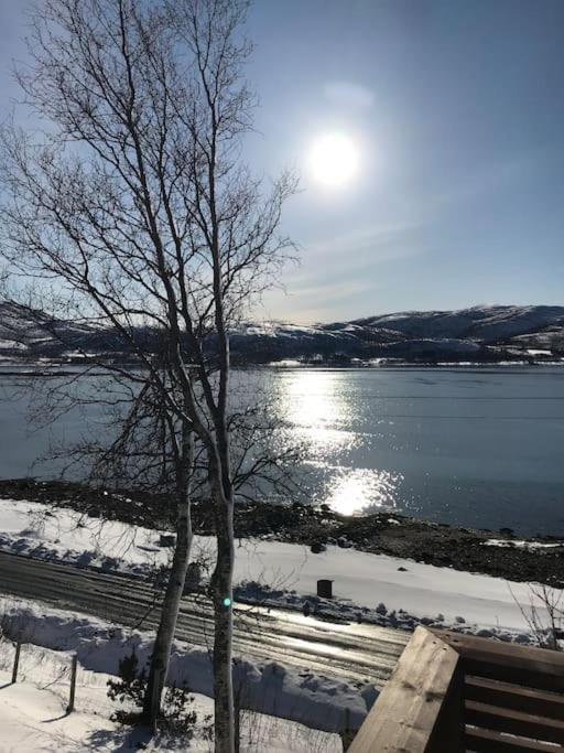 Trivelig Fritidshus Pa Arnes, Senja Straumstad Buitenkant foto